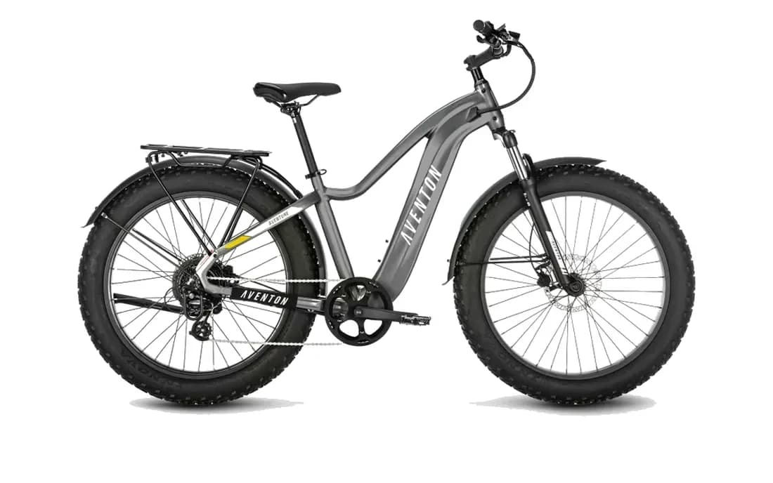 Electric Fat Tire Bikes for Snow and Sand: A Buying Guide